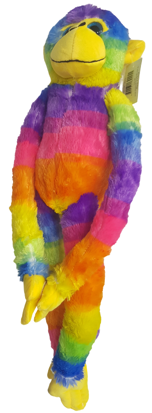 Chloe Rainbow Monkey