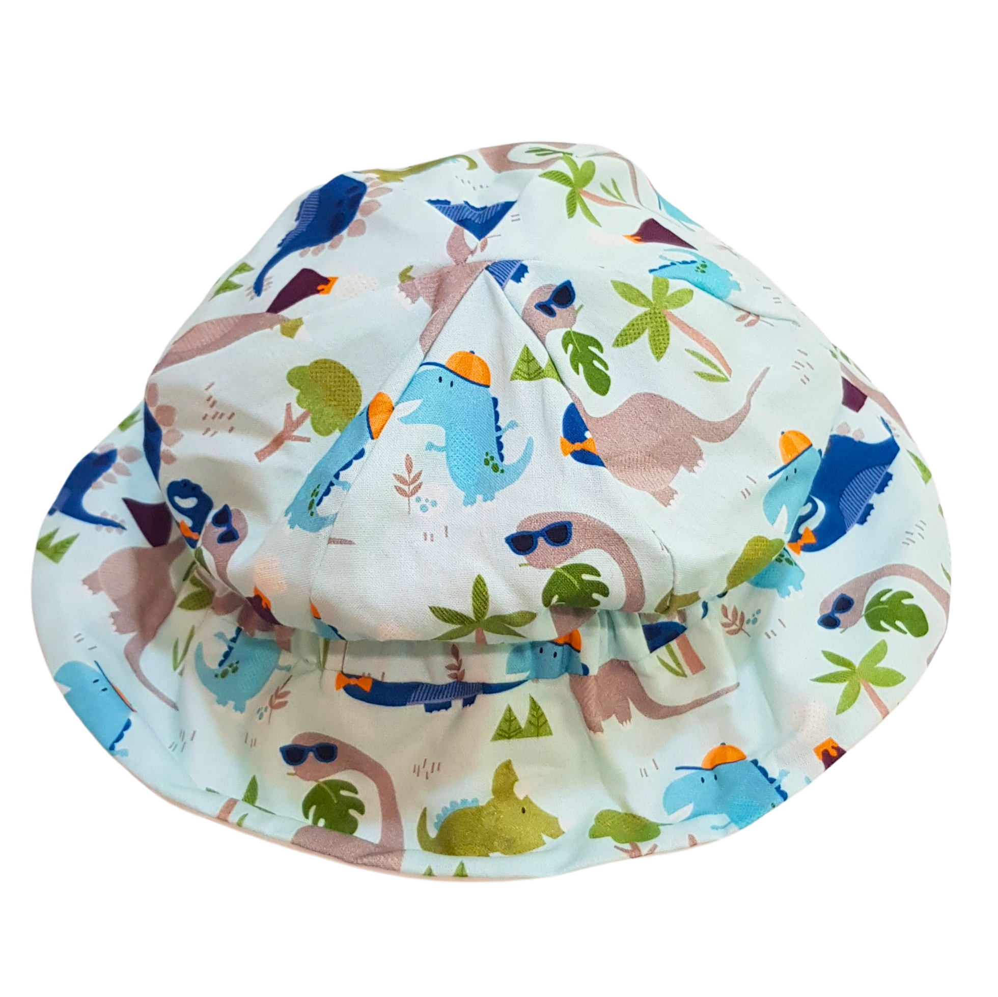 Baby Hat -Boys Blue Dinosaur