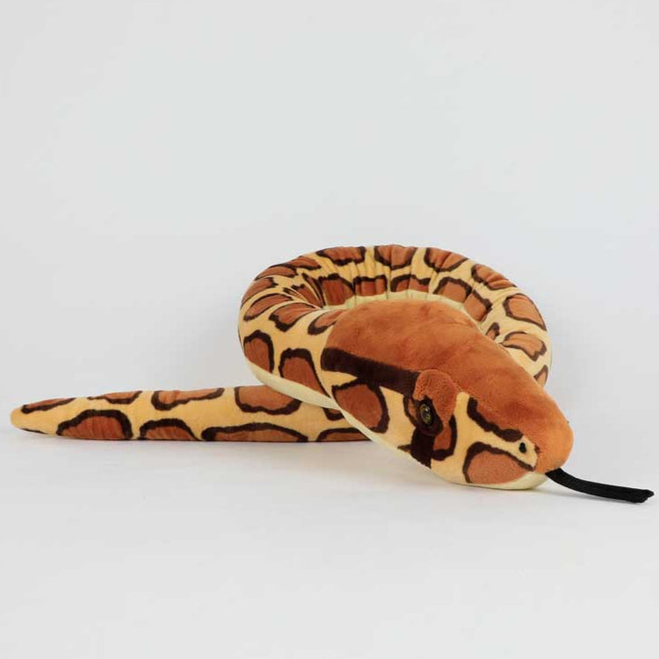 Snake - Burmese Python