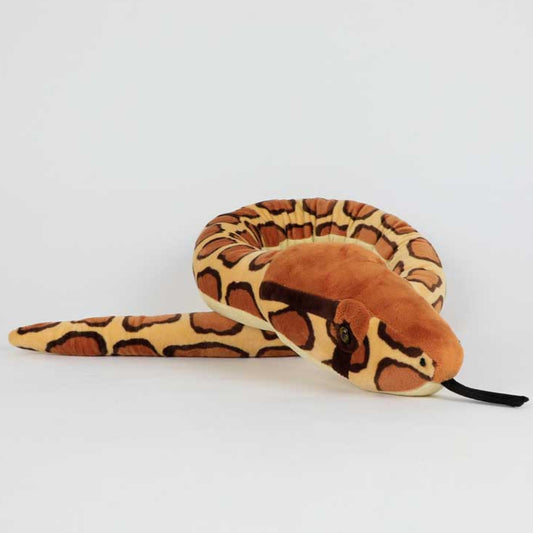 Snake - Burmese Python