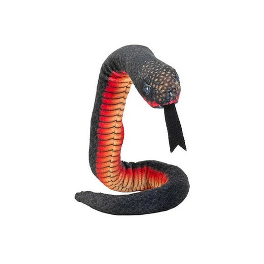 Coilkins Snake - Red Bellied