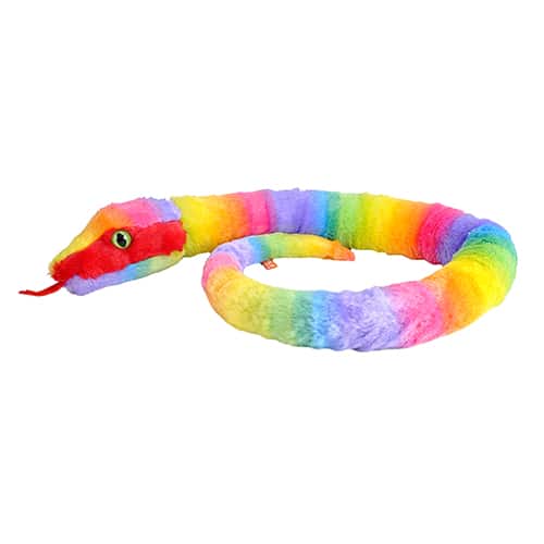 Snake - Rainbow