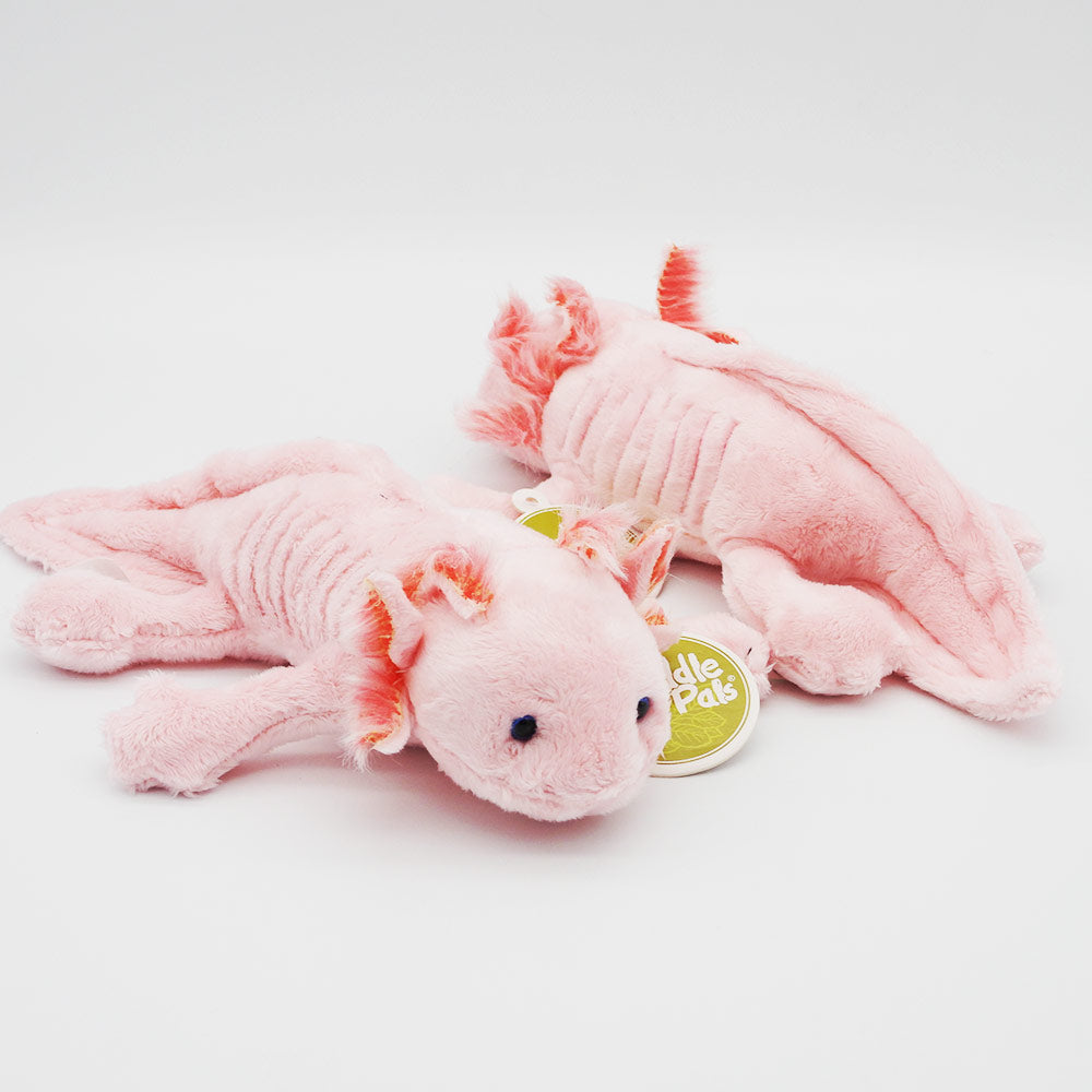 Cuddle Buddies - Axolotl