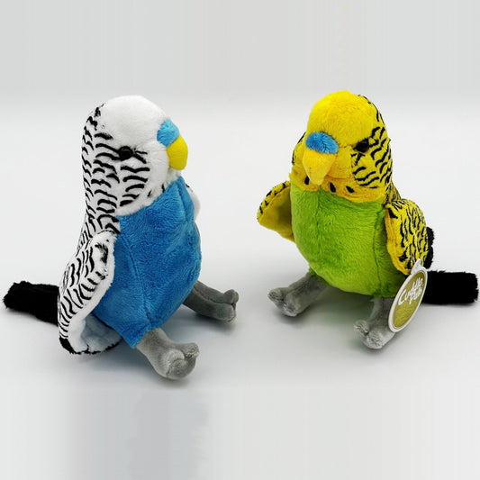 Cuddle Buddies - Budgie