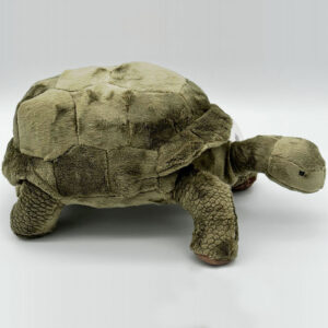 Mega Tortoise