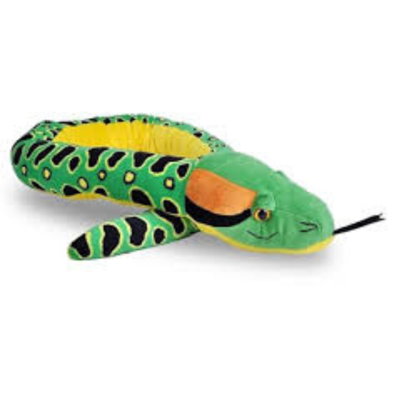 Snake - Green Anaconda