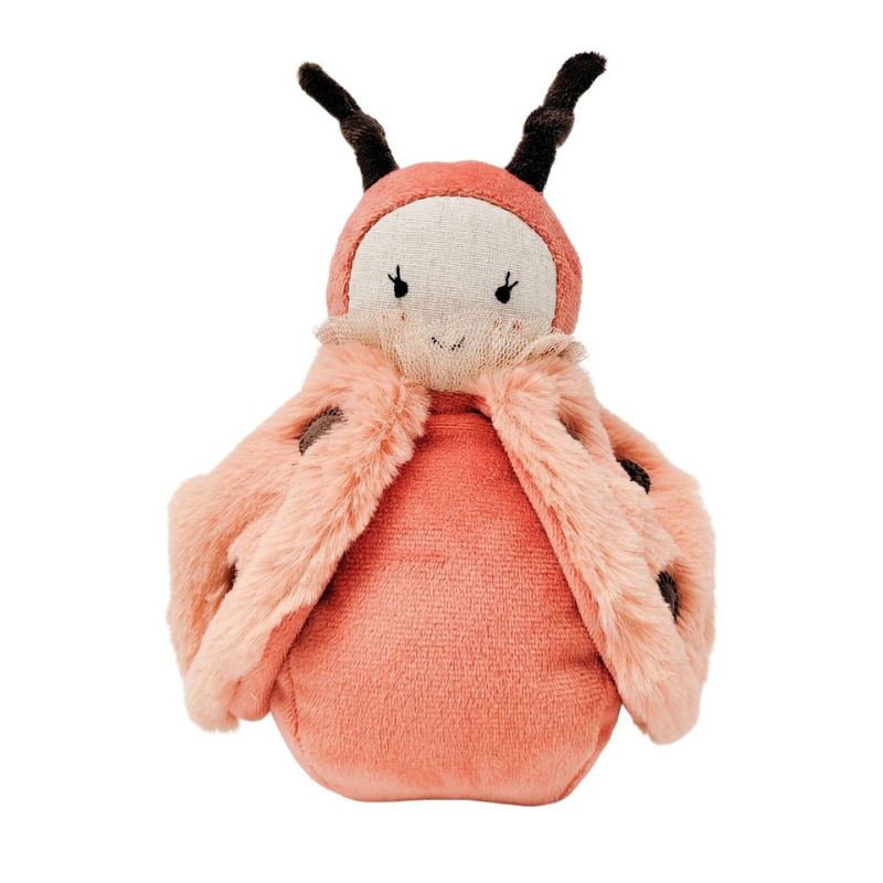 Ladybird Soft Baby Toy