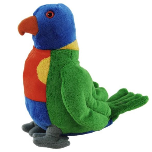 Lorikeet Bird with Sound