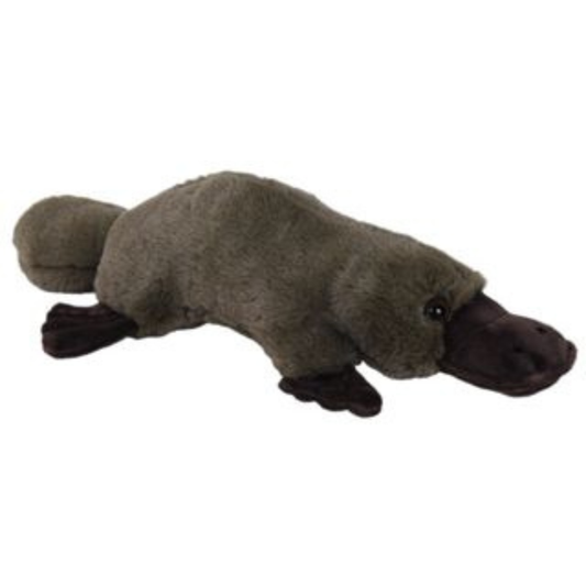 Platypus - Large