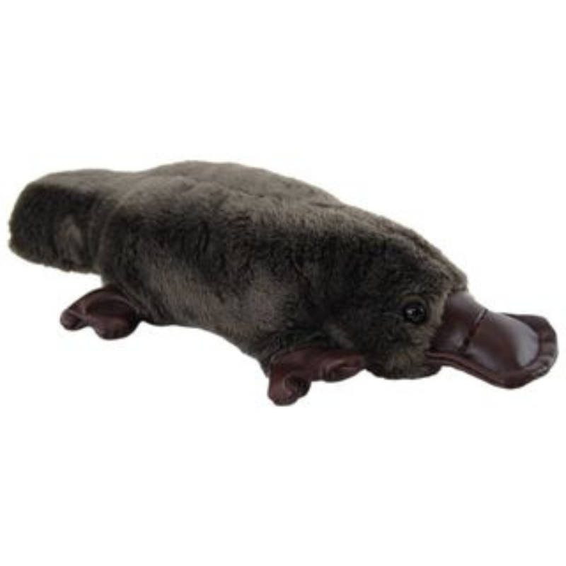 Platypus - Small