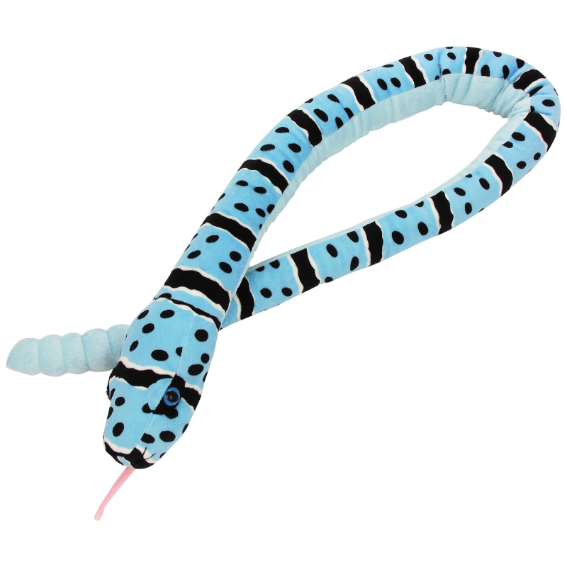 Snake - Blue Rock Rattler